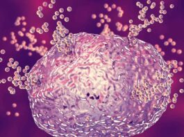 Mast Cell Degranulation