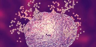 Mast Cell Degranulation