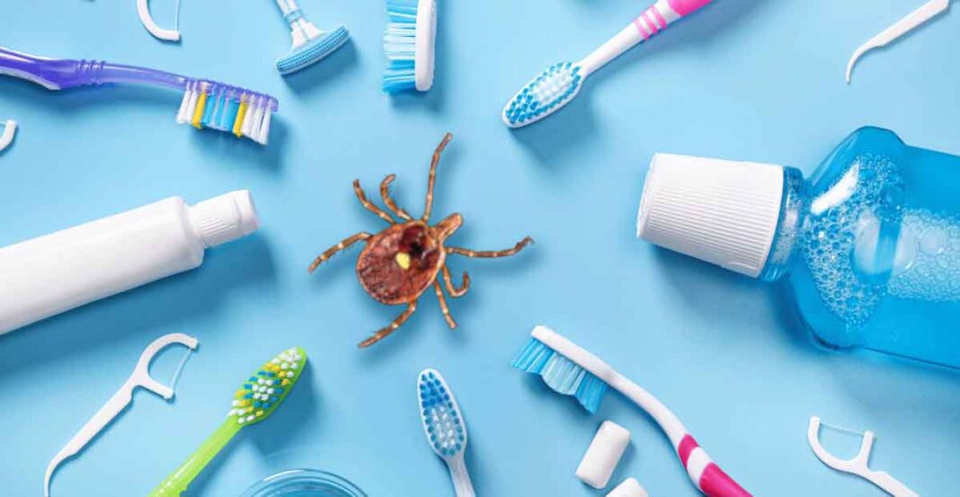 Dental Products and Lone Star Tick