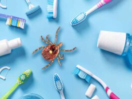Dental Products and Lone Star Tick
