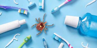 Dental Products and Lone Star Tick