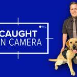 See Bodycam Footage of Deputy Use His Personal Auto-Injector to Save a Man’s Life Deputy James Liedel and K9 Partner