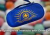 How Epinephrine Interacts with Other Drugs
