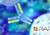RAPT Therapeutics