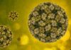 Virus-Like-Particles-VLPs