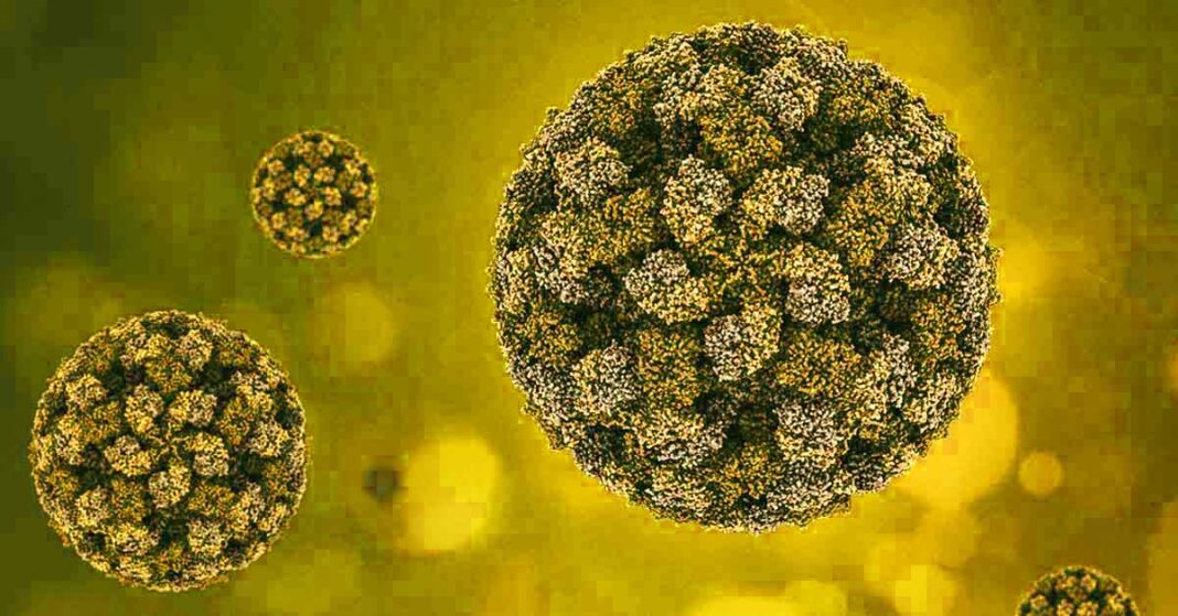 Virus-Like-Particles-VLPs