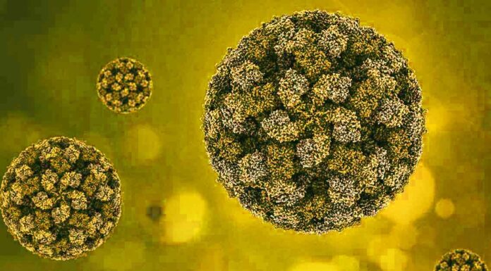 Virus-Like-Particles-VLPs