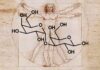 New Study Reveals “Trigger-Happy” Antibodies in Alpha-Gal Syndrome Alpha-gal molecule over da Vinci's Vitruvian Man