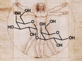Alpha-gal molecule over da Vinci's Vitruvian Man