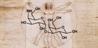 New Study Reveals “Trigger-Happy” Antibodies in Alpha-Gal Syndrome Alpha-gal molecule over da Vinci's Vitruvian Man