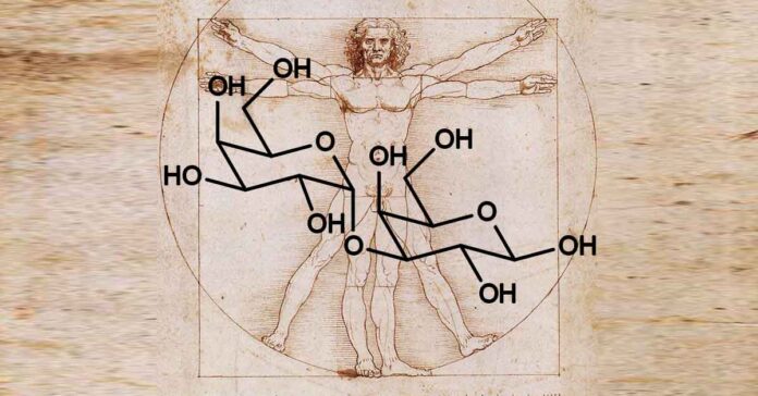 Alpha-gal molecule over da Vinci's Vitruvian Man