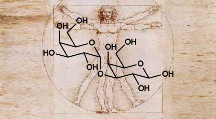Alpha-gal molecule over da Vinci's Vitruvian Man