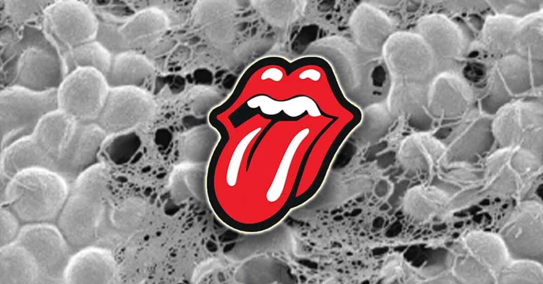 Rothia Bacteria in Saliva