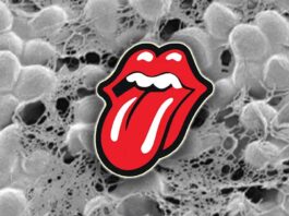 Rothia Bacteria in Saliva