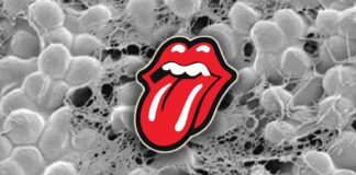 Rothia Bacteria in Saliva