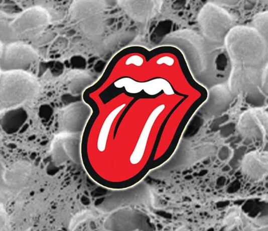 Rothia Bacteria in Saliva