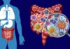 Gut Bacteria Imbalance Linked to Food Allergy, Asthma in New Scientific Review Small Intestine Bacterial Overgrowth (SIBO)
