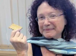 Professor Mona Kidon