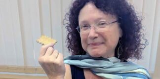 Professor Mona Kidon