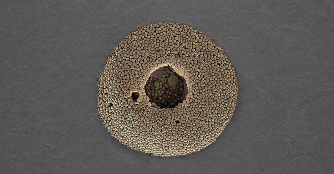 Nanoparticle encapsulation