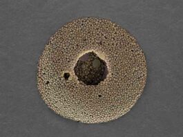 Nanoparticle encapsulation