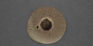 Nanoparticle encapsulation