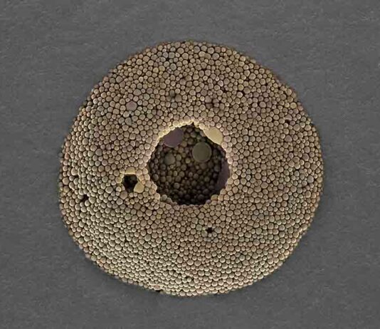 Nanoparticle encapsulation