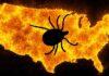 A Nation Bitten by Red Meat Allergy: 14 Regional Reports Expose a US Tick Crisis US Tick Crisis