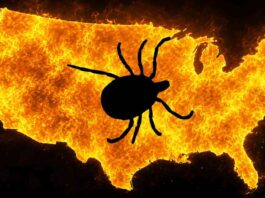 US Tick Crisis