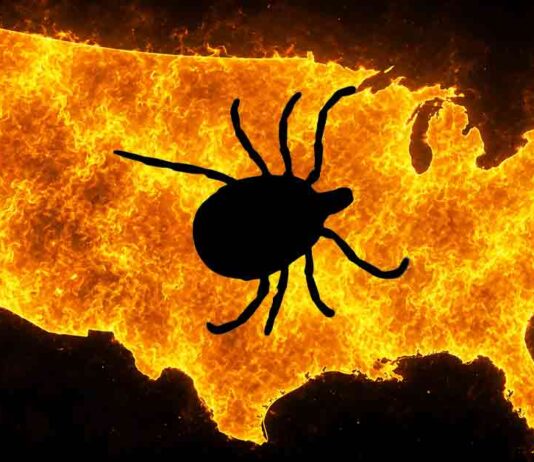 US Tick Crisis