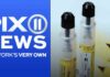 No, Your EpiPens Have Not Been Recalled: Correcting the WPIX Instagram Post WPIX Auto-Injector Recall Scare