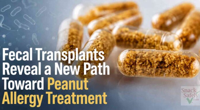 Fecal Transplants Reveal a New Path Toward Peanut Allergy Treatment FMT Peanut Allergy - AI-Generated