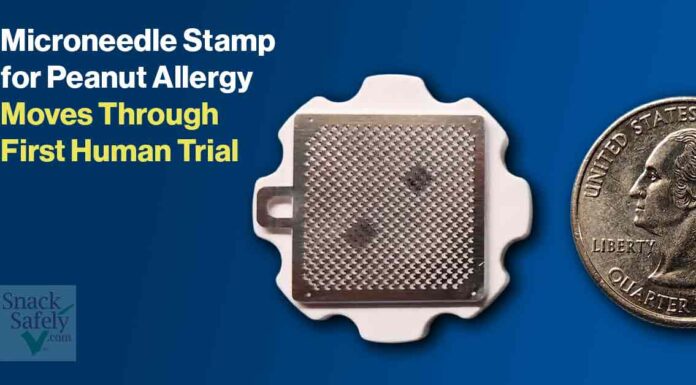 Microneedle Stamp for Peanut Allergy Moves Through First Human Trial Microneedle Phase 1