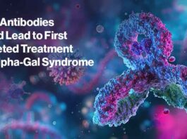 NIH Antibody for AGS