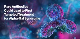 NIH Antibody for AGS