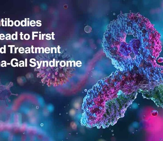 NIH Antibody for AGS