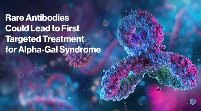 Rare Antibodies Could Lead to First Targeted Treatment for Alpha-Gal Syndrome NIH Antibody for AGS