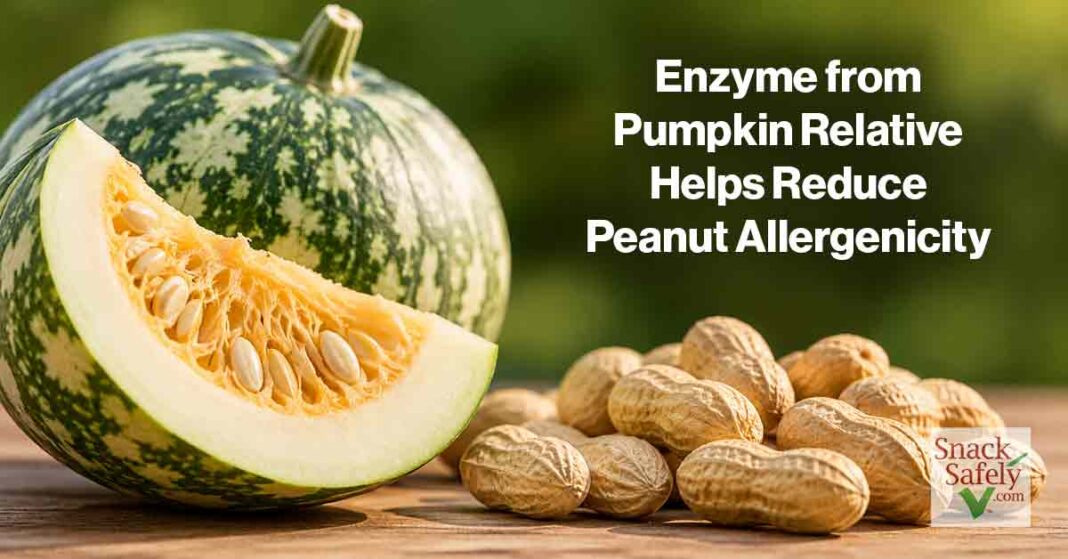 Pumpkin Enzyme Peanut - AI-Generated