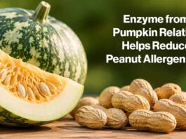 Pumpkin Enzyme Peanut - AI-Generated