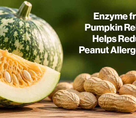 Pumpkin Enzyme Peanut - AI-Generated