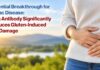 Potential Breakthrough for Celiac Disease: Teva Antibody Significantly Reduces Gluten-Induced Gut Damage Teva Antibody for Celiac