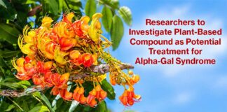 Researchers to Investigate Plant-Based Compound as Potential Treatment for Alpha-Gal Syndrome Australian Chestnut