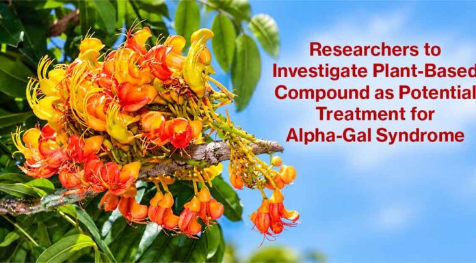 Researchers to Investigate Plant-Based Compound as Potential Treatment for Alpha-Gal Syndrome Australian Chestnut