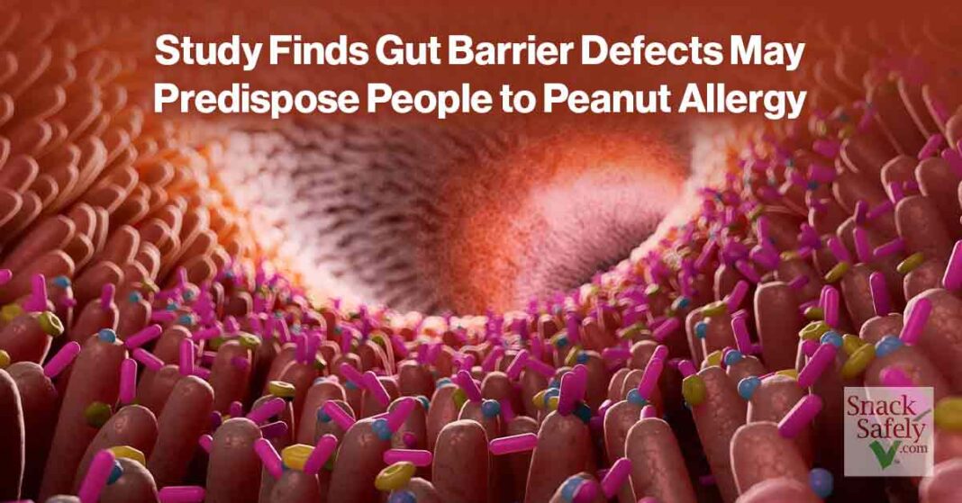 Gut Barrier Defect Peanut Allergy