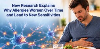 Nerve Signals and Stomach Discomfort - AI-Generated