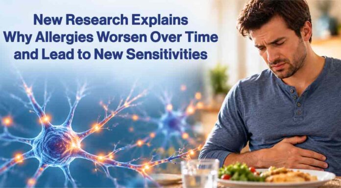 New Research Explains Why Allergies Worsen Over Time and Lead to New Sensitivities Nerve Signals and Stomach Discomfort - AI-Generated